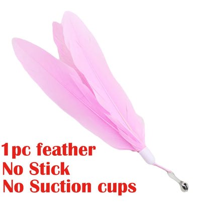Suction Cup Feather Wand Cat Toy