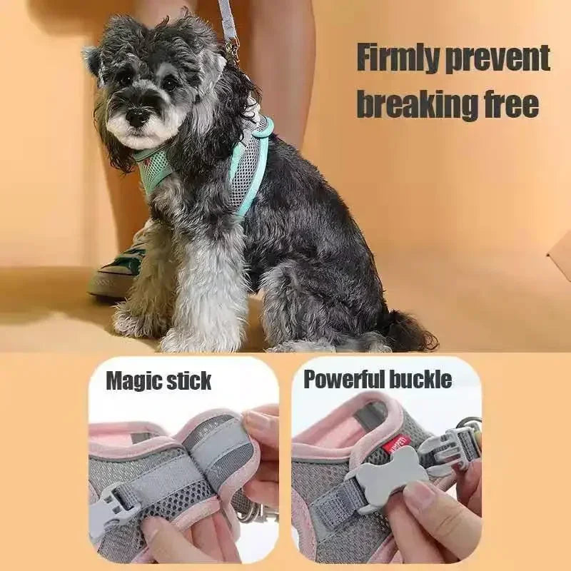 Breathable Mesh Harness Vest for Small Dogs & Cats