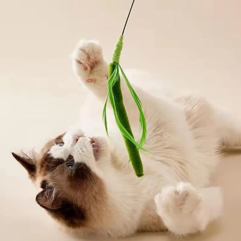 Dogtail Grass Cat Teaser Wand