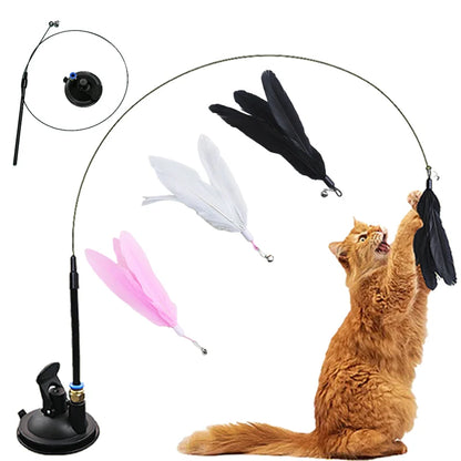 Suction Cup Feather Wand Cat Toy