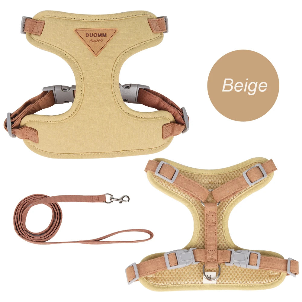 Padded Harness & Leash Set for Cats & Small Dogs