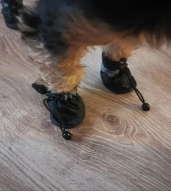 PU Rain Boots for Small Dogs & Cats (Set of 4)