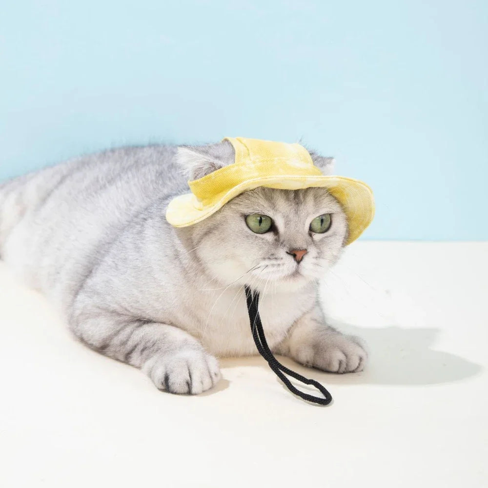 Pet Baseball Cap with Ear Holes